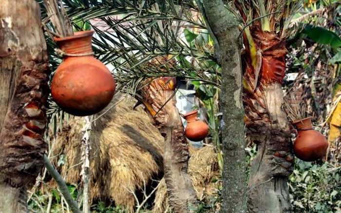 কুমিল্লায় শীতকালীন খেজুরের রসের হাট
