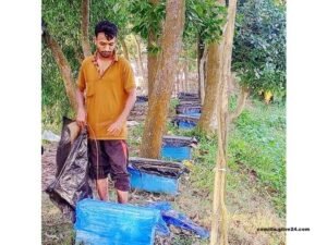 কুমিল্লার মুরাদনগরে জনপ্রিয় হয়ে উঠছে মধু চাষ