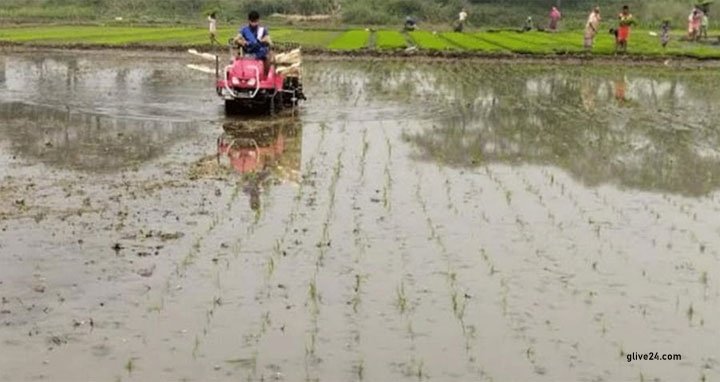 কুমিল্লায় সমলয় পদ্ধতিতে ধান চাষ জনপ্রিয় হচ্ছে