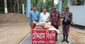  ৯ গুইসাপ উদ্ধার ভারতে পাচারকালে চৌদ্দগ্রাম থেকে