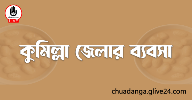 কুমিল্লা জেলার ব্যবসা